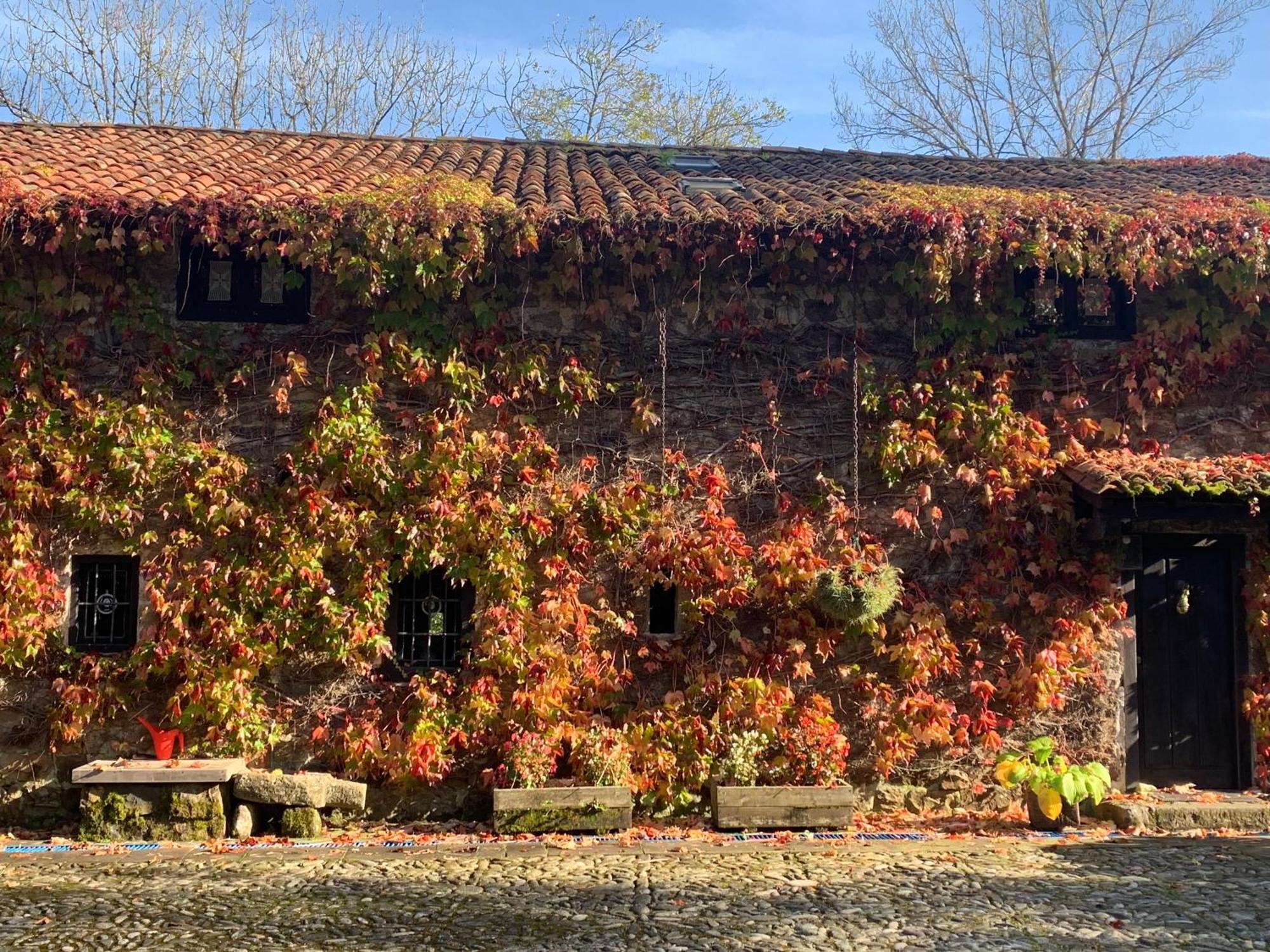Molino de Renedo a orillas del río Saja Renedo De Cabuerniga Exterior foto